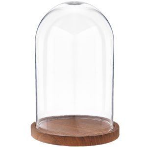 HAES DECO - Decoratieve glazen stolp met bruin houten voet, 16 cm en hoogte 28 cm - ST019461 - HAES deco